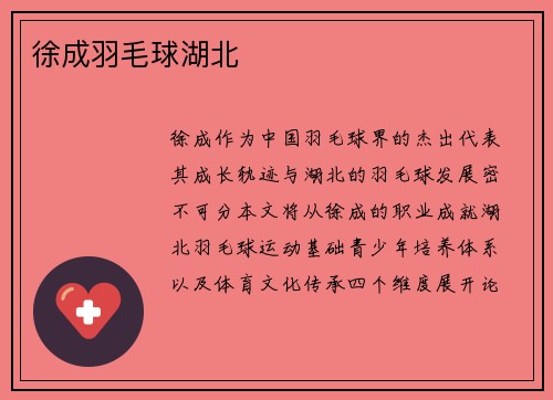 徐成羽毛球湖北