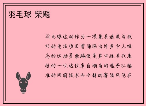 羽毛球 柴飚