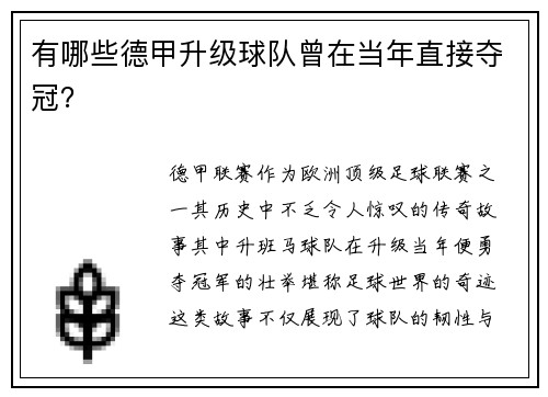 有哪些德甲升级球队曾在当年直接夺冠？